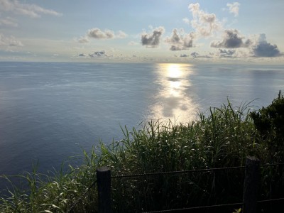 IMG_6773.jpg
