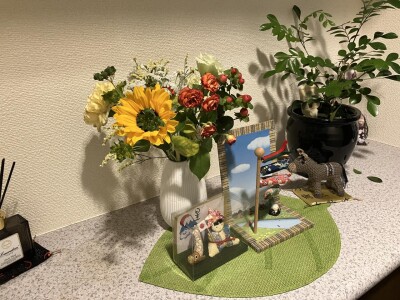 IMG_8484.jpg