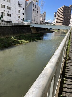 IMG_9253.jpg
